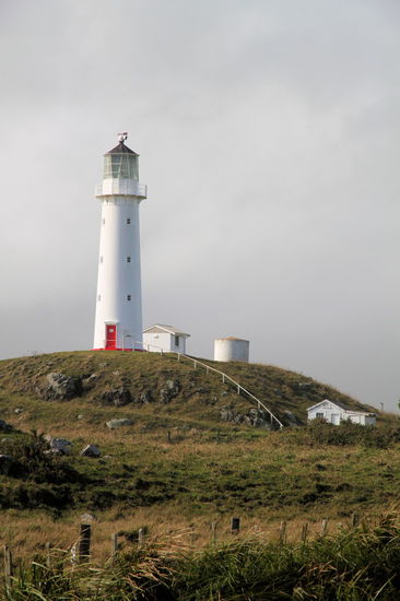 Der Cape Egmont Leuchtturm. Wenn die Wolken nicht so tief hängen würden, könnte man im Hintergrund den Mount Taranaki sehen.