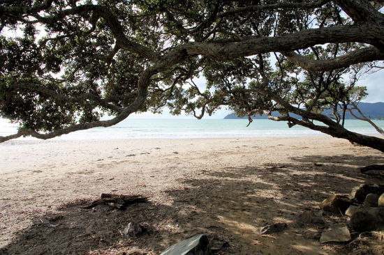 Den Nachmittag verbrachten wir am Coopers Beach an der Südküste der Doubtless Bay.