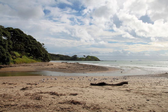 Hier machten neben uns auch viele Möwen Pause.