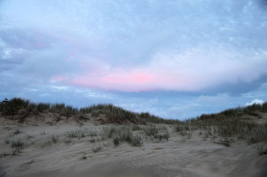 Immerhin schimmerte der Himmel hinter den Dünen in zartem Rosa.