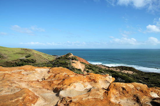Weiter gings zum 'South Head Lookout', wo es neben einer fantastischen Aussicht diese schönen Sandsteinformationen zu sehen gibt.