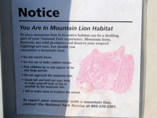 Der Wanderweg durchläuft ein Gebiet mit Mountain Lions und Klapperschlangen. Bevor wir losgegangen sind, haben wir noch eine Rangerin getroffen und sie sagte, dass es momentan zumindest für die Klapperschlangen zu kalt ist - sie werden erst ab 80 Grad Fahrenheit aktiv. Wir hatten aber deutlich unter 60 Grad Fahrenheit (unter 15 Grad Celsius).