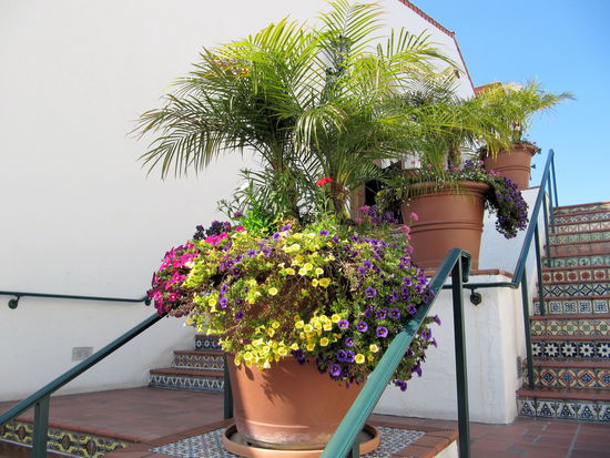 Anschließend fuhren wir in die Innenstadt und machten ein paar Erledigungen in einem Einkaufszentrum das im lateinamerikanischen Stil gebaut war. Besonders schön fanden wir die Blumen.