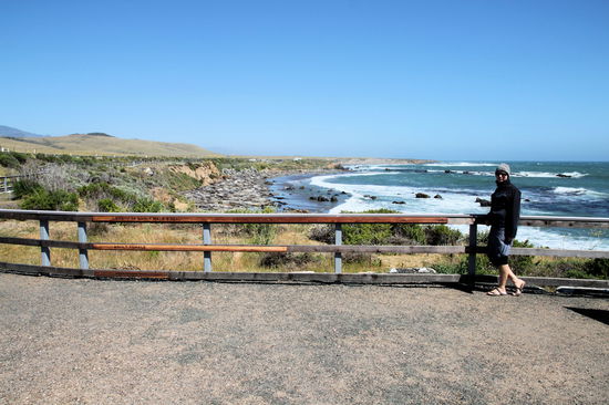 Hier musste Lizzy mal wieder als Größenvergleich herhalten. Links von Lizzy sind drei waagerechte helle Holzlatten angebracht. Die oberste zeigt die Länge eines erwachsenen männlichen See-Elefanten (über 4 Meter), die mittlere die Länge eines erwachsenen Weibchens und ganz unten die Größe eines Neugeborenen.
P.S.: Kalifornischer Küsten-Dresscode im Mai: Flip-Flops und Sonnenbrille in Kombination mit Mütze und Handschuhen! 