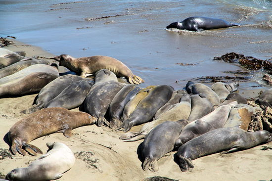 Teilweise wirkte es wie bei einem Stapelwettbewerb. 