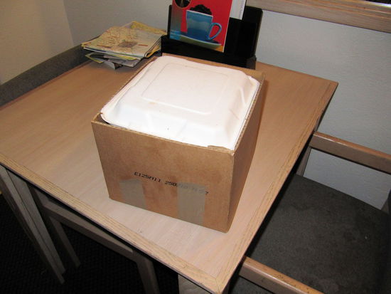 Abends in Monterey holten wir uns zu zweit etwas zu Essen beim Asiaten. Als unsere Bestellung fertig war erhielten wir an der Theke diesen halben Umzugskarton um das Essen in unser Motel zu tragen.