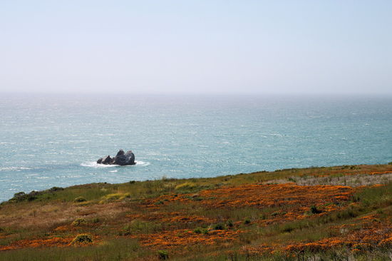 Viele Wiesen waren gefärbt durch Wildblumen.