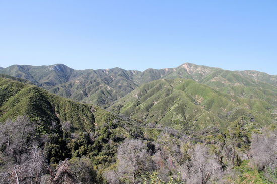 Hoch oben in den Santa Lucia Mountains. Die Berge sind noch sehr grün, aber sobald man die dahinterliegende Ebene (Kalifornisches Längstal) erreicht wird es sehr trocken.
