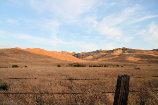 Ohne künstliche Bewässerung wächst hier nicht viel.
