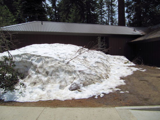 Der Nationalpark liegt hoch in den Bergen, sodass uns im Grant Grove Village noch stattliche Schneehaufen begrüßten (Nur noch einmal zur Erinnerung - es war Ende Mai in Kalifornien!).