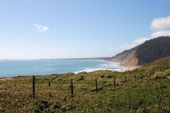 Da der Redwood State Park nicht vom Highway 1 zugänglich war (die Karte war etwas ungenau), sind wir in der Nähe ein wenig durch ein Naturschutzgebiet an der Küste mit netten Blumen und schöner Aussicht gewandert.