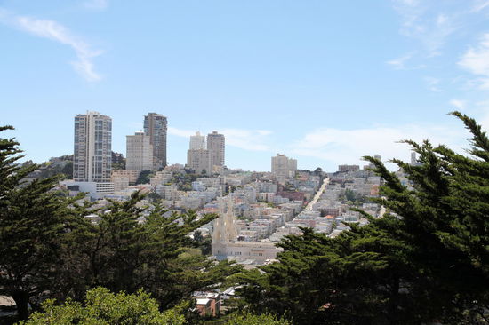 Der Blick vom Telegraph Hill auf die Stadt. Um ein wenig von der Stadt zu sehen, entschieden wir uns einen Großteil des 49 Mile Scenic Drive zu fahren. Dieser recht gut ausgeschilderte Scenic Drive in und um San Francisco führt einen entlang verschiedener Sehenswürdigkeiten und historischer Gebäude.