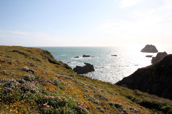 ... in den verschiedensten Farben zu sehen.