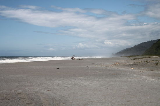 Unser nächstes Ziel war der Redwood Nationalpark. Unterwegs führte der Highway wieder direkt an der rauen und ursprünglichen Küste entlang.