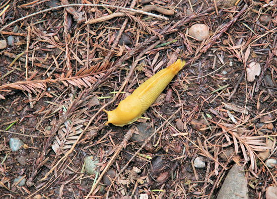 ... und kleine Tiere ...