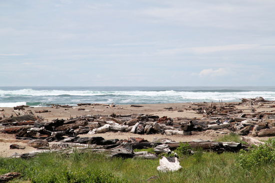 ... noch mehr wilde Küste ...