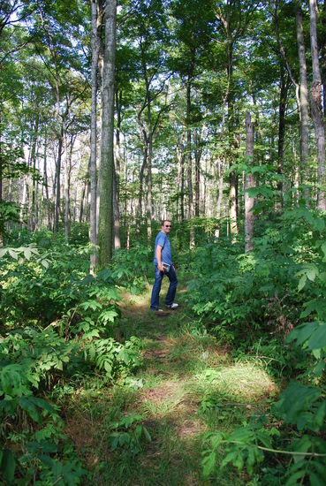 Beim Hiking im Dschungel von Michigan