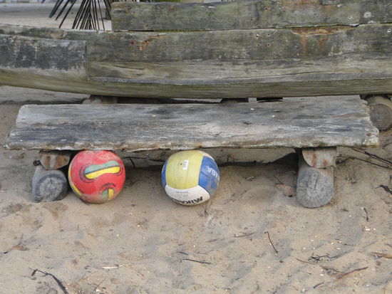 volleyball@green turtle lodge