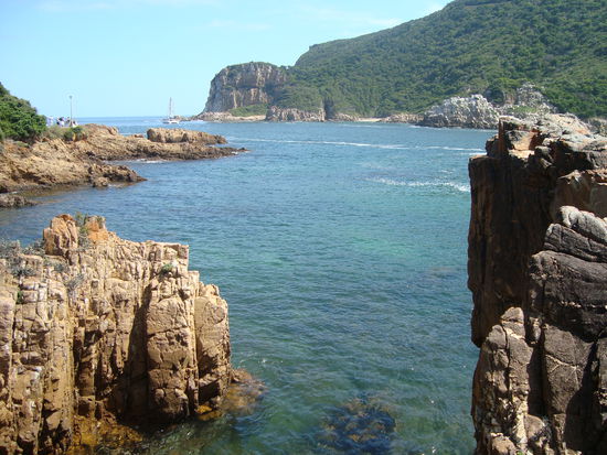 knysna head