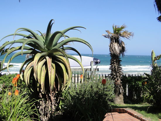 east london - sugar shake