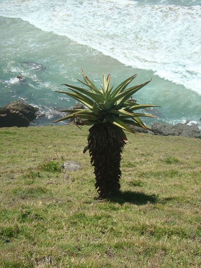 auf dem weg zum hole in the wall