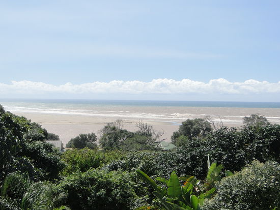 blick von der veranda im jungle monkey - port st. johns