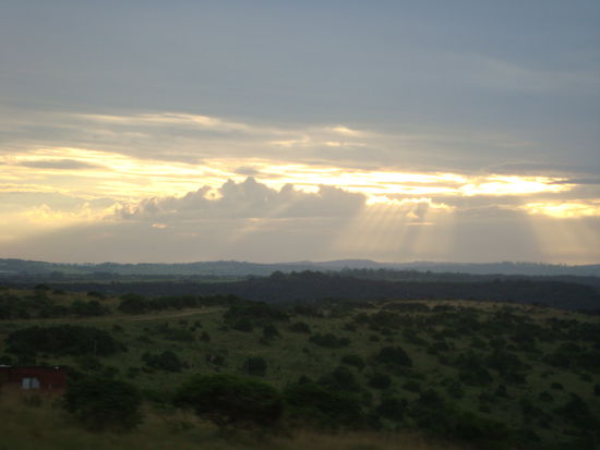 auf der fahrt von durban nach port elizabeth
