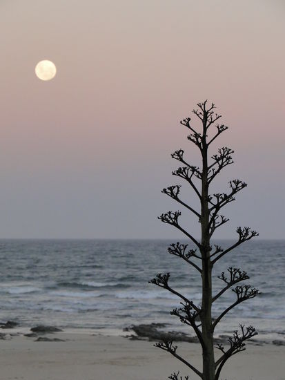 jeffreysbaai - island vibe by night