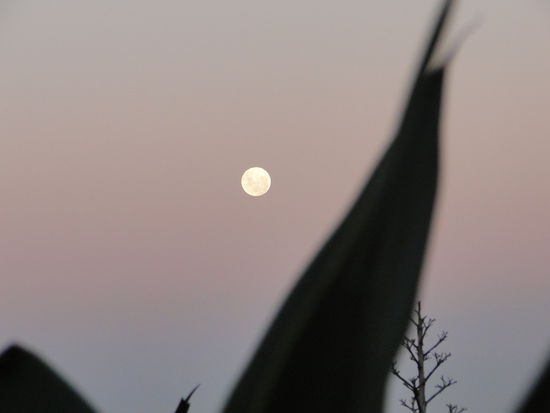 jeffreysbaai - island vibe by night