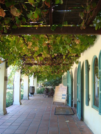 winetour in paarl