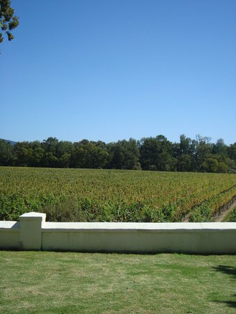 winetour in paarl
