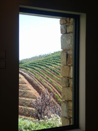 winefarm in stellenbosch