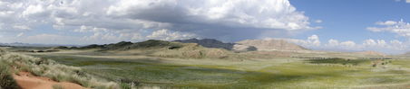 namib wueste