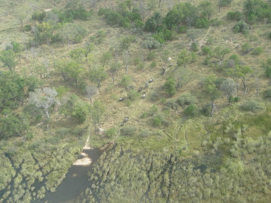 okavanga delta - aus dem flugzeug