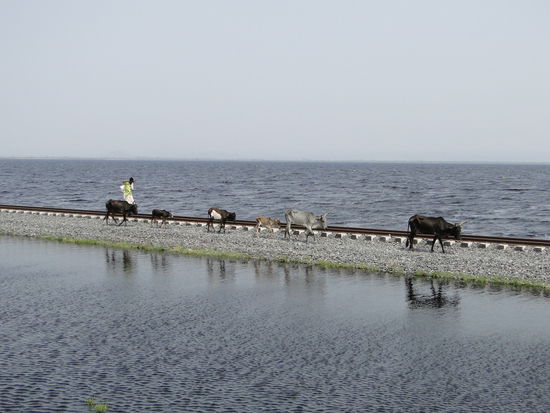 hochwasser in äthiopien