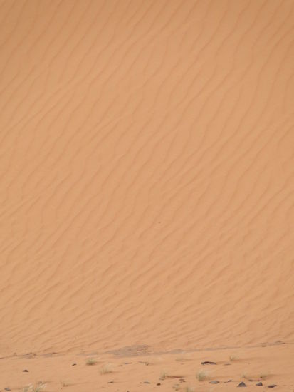 sahara und düne...