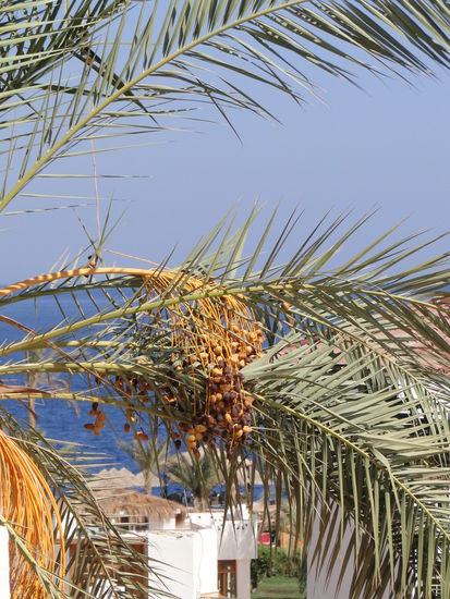 aussicht aus dem balkon