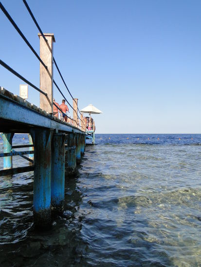 der steg zum reef - koralln und fische überall