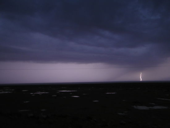 western sahara - im auge des sturms