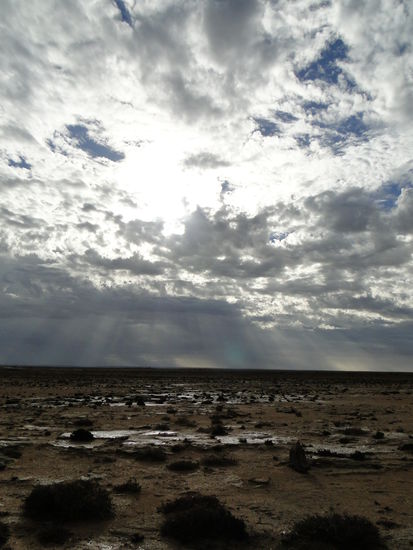 western sahara - nach dem grossen sturm