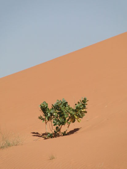 mauretanien - sahara