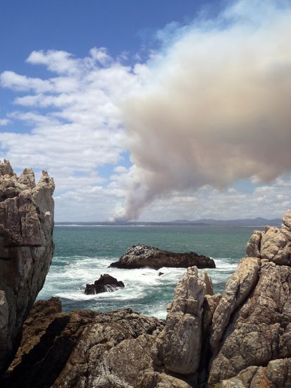 hermanus - cliff walk, busch feuer gegenüber der bucht