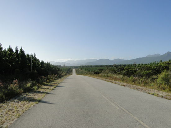 tsitsikama national park