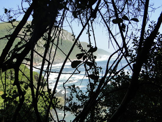 tsitsikama national park