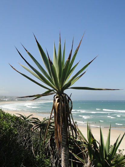 the island vibe - jeffreys bay