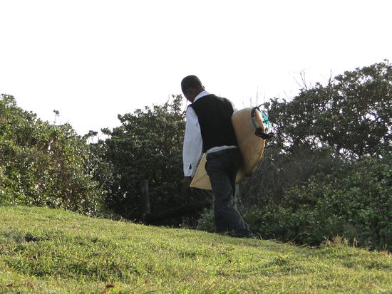 coffee bay - schuljunge auf dem heimweg, direkt von der schule in die wellen...