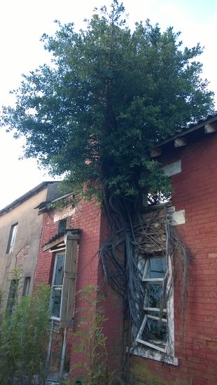 umzumbe - ehemaliges kloster