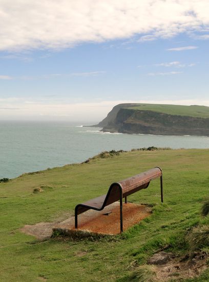 catlines - curiobeach