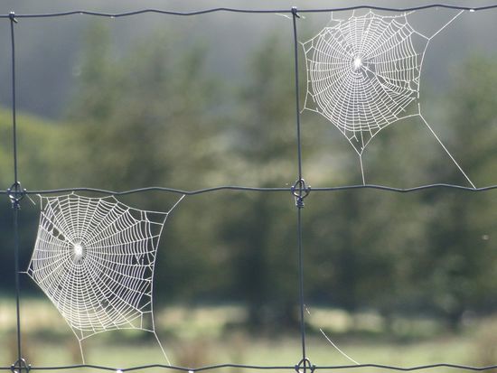 auf dem weg zum franz josef glacier