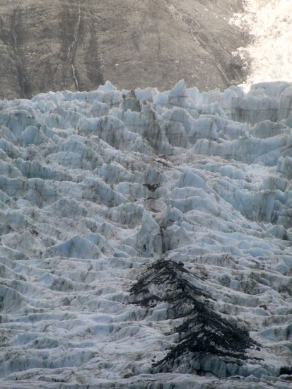 franz josef gletscher